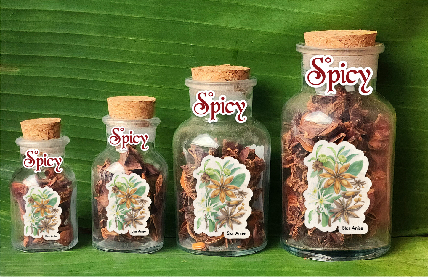 Star Anise