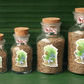 Jeera (Cumin)