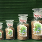Jeera (Cumin)